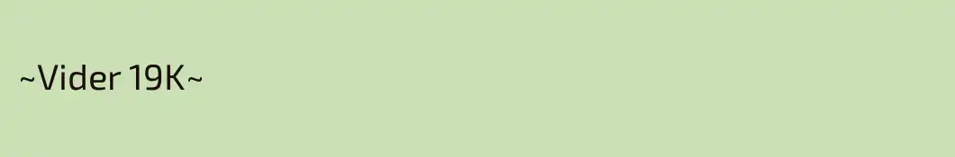 ~Vider 19K~